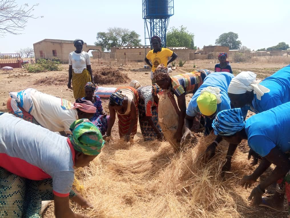 WhatsApp Image 2025-11-27 at 10.41.14