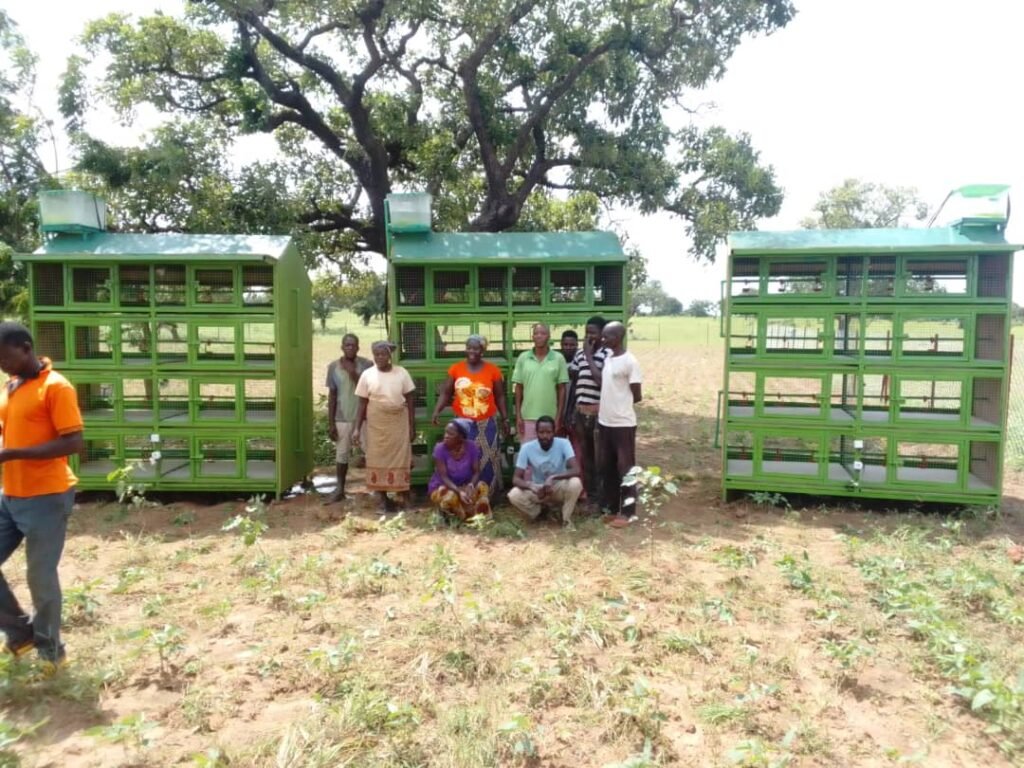 WhatsApp Image 2025-11-30 at 11.33.54